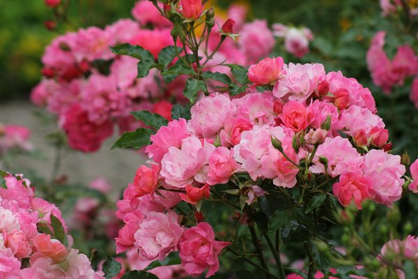 Tout savoir sur le carrelage à la réunion avec carro dépôt